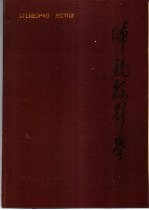 体视投影学