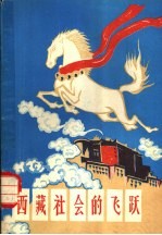西藏社会的飞跃