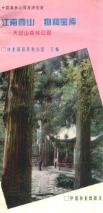 江南奇山 物种宝库 天目山森林公园