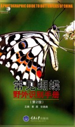 常见蝴蝶野外识别手册 第2版