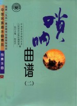 中国民族器乐曲博览 独奏乐曲 唢呐曲谱 2