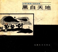 黑白天地 樊传继黑白装饰画集