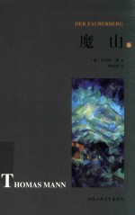 魔山 上