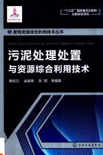 废物资源综合利用技术丛书 污泥处理处置与资源综合利用技术