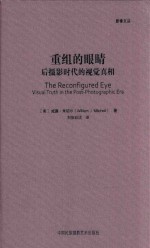 重组的眼睛