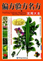 偏方验方名方实用大全