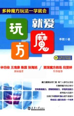 就爱玩魔方 多种魔方玩法一学就会