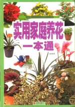 实用家庭养花一本通