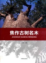 焦作古树名木