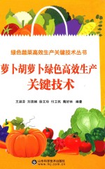 绿色蔬菜高效生产关键技术丛书 萝卜胡萝卜绿色高效生产关键技术