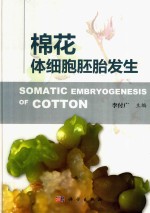 棉花体细胞胚胎发生