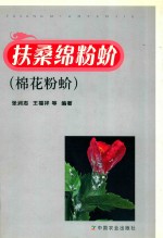 扶桑绵粉蚧 棉花粉蚧