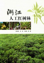 浙江人工红树林