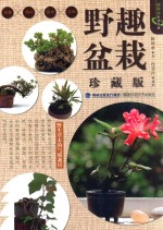 野趣盆栽 珍藏版