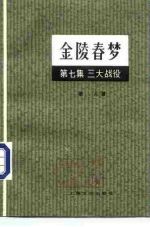 金陵春梦 第7集 三大战役
