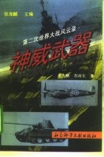 神威武器