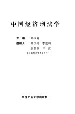中国经济刑法学