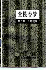 金陵春梦 第3集 八年抗战