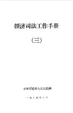 经济司法工作手册