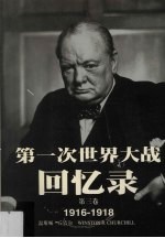 第一次世界大战回忆录 第3卷 1916-1918