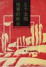 三个太阳照着的峡谷