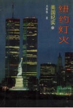 纽约灯火:美国纪实
