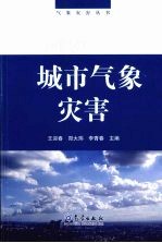 城市气象灾害