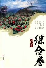 文化文山 综合卷