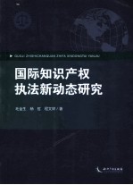 国际知识产权执法新动态研究