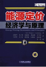 能源定价经济学与原理