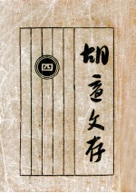 胡适文存 4