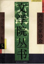 文学院丛书 小说卷 5