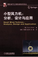小型风力机 分析、设计与应用