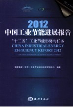 2012中国工业节能进展报告 12五工业节能形势与任务 2012版