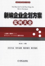 新编企业企划方案实例大全