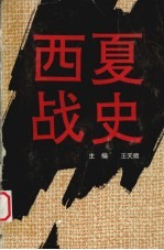 西夏战史