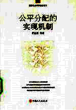 公平分配的实现机制