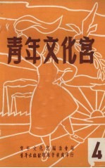 青年文化宫 4