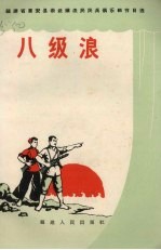 八级浪