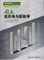 图表组织学与胚胎学