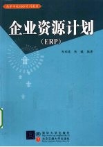 企业资源计划(ERP)