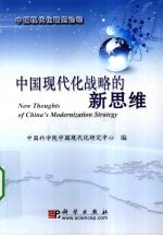 中国现代化战略的新思维