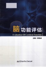 脑功能评估