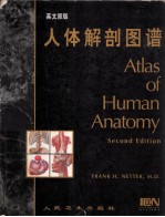 人体解剖图谱 英文原版