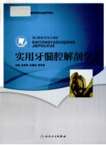实用牙髓腔解剖学 供口腔医学类专业用