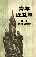 青年近卫军 第1部