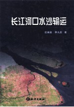 长江河口水沙输运