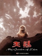 天赐 黑尾鸥和它的电影故事