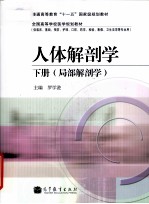 人体解剖学 下 局部解剖学