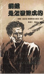 钢铁是怎样炼成的